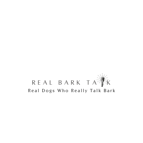 Real Bark Talk